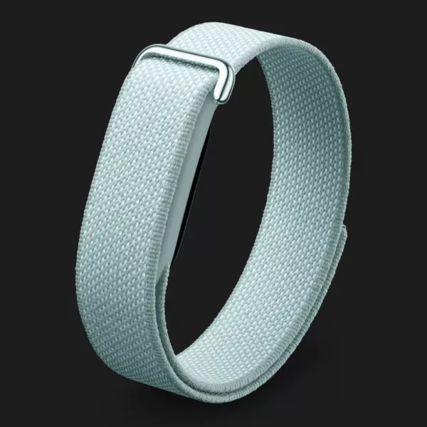 Фітнес-браслет Google Fitbit Air (Fog)