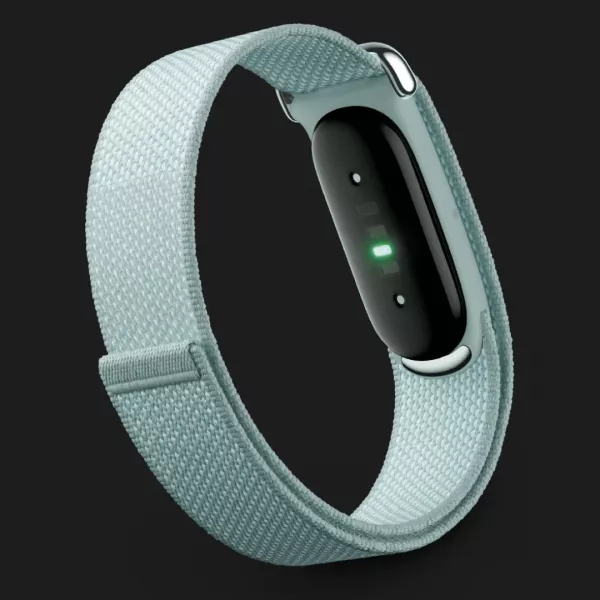 Фітнес-браслет Google Fitbit Air (Fog)