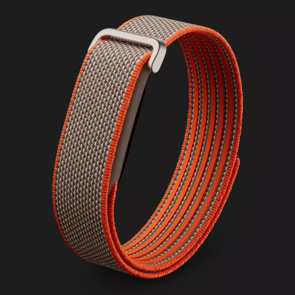 Фітнес-браслет Google Fitbit Air (Rye)