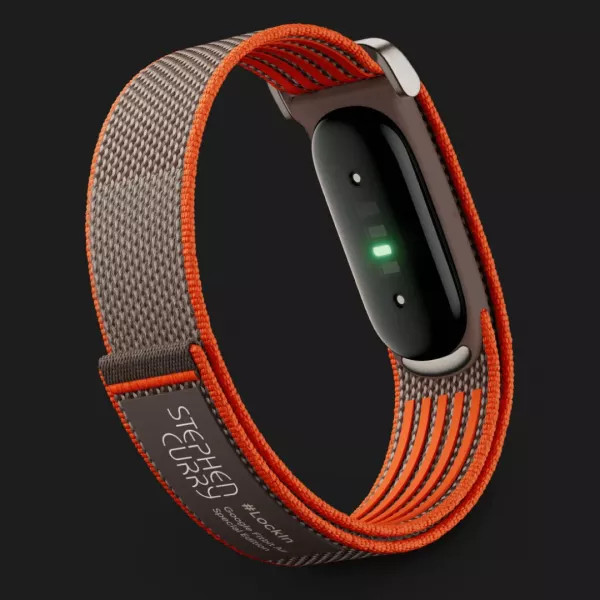 Фітнес-браслет Google Fitbit Air (Rye)