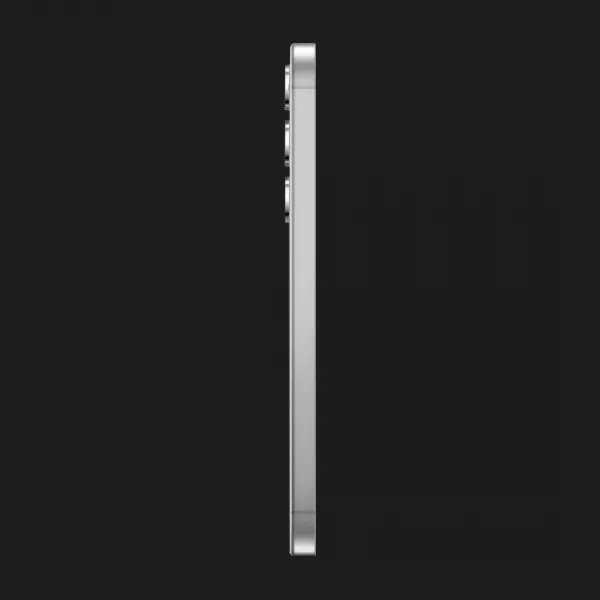 Samsung Galaxy S24 8/256GB (Marble Gray) (Standard)