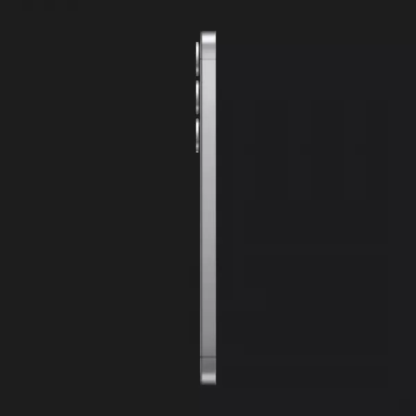 Samsung Galaxy S25 12/256GB (Silver Shadow) (S931) (Standard)