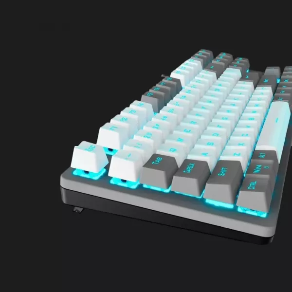 Клавіатура дротова AULA F3287 keycap KRGD blue EN/UA (Gray/White) (UA)