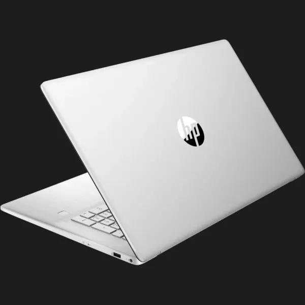 Ноутбук HP 17-cp0000 17,3" (AMD Ryzen 3/32GB/2TB (SSD)/AMD Radeon Graphics) (4Z2M25EA) (Standard)